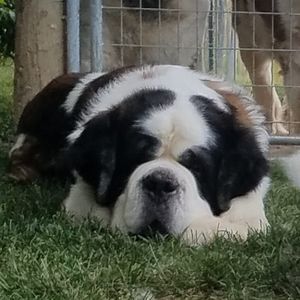 Meet your Posher, Tricia